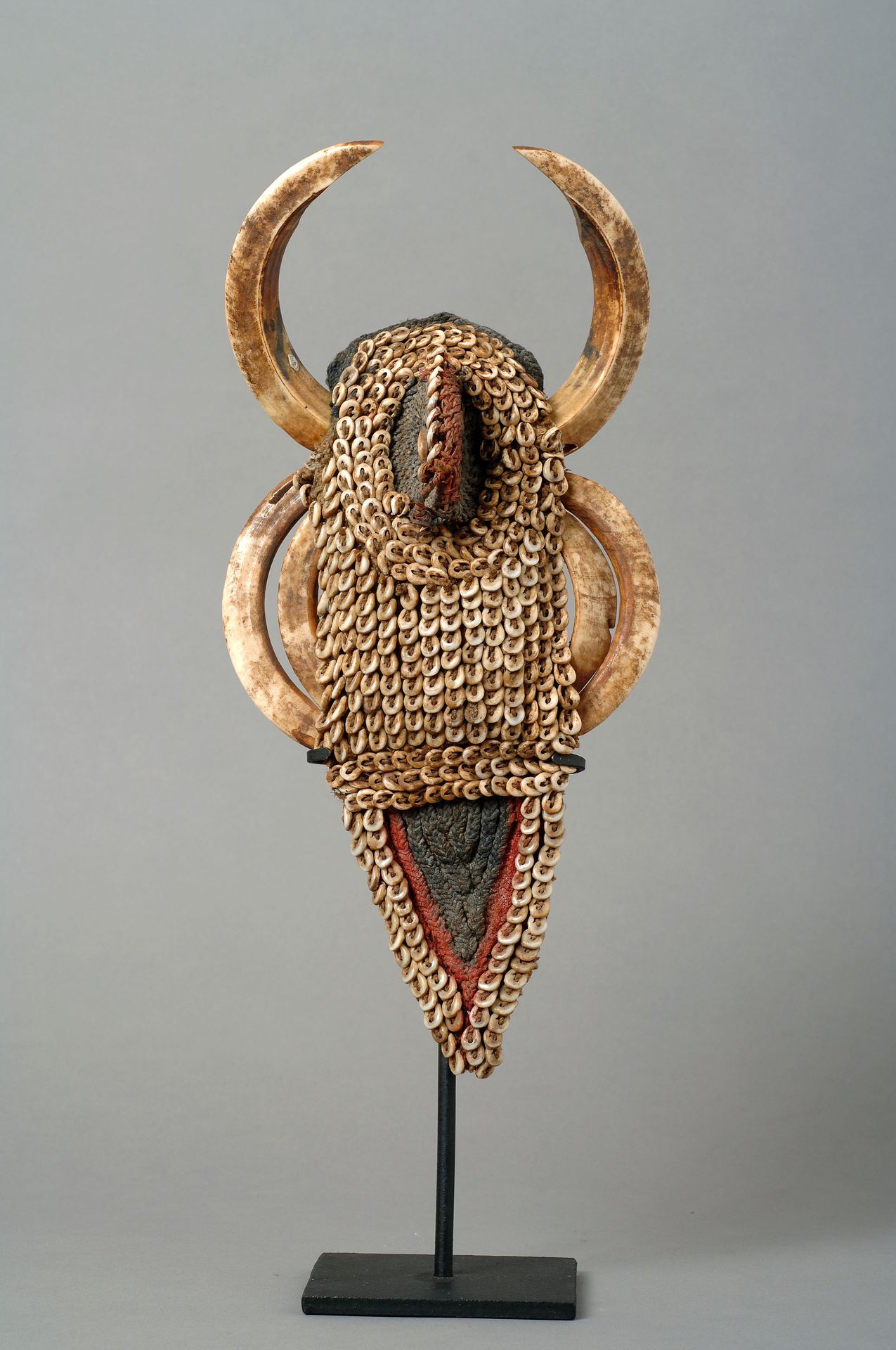 Parure cérémonielle ornée de coquillages et de défenses de porc, Papouasie-Nouvelle-Guinée