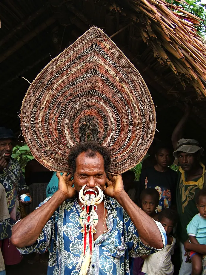 Homme papou coiffé d'un large éventail tressé et paré de défenses de sanglier au nez, Papouasie-Nouvelle-Guinée