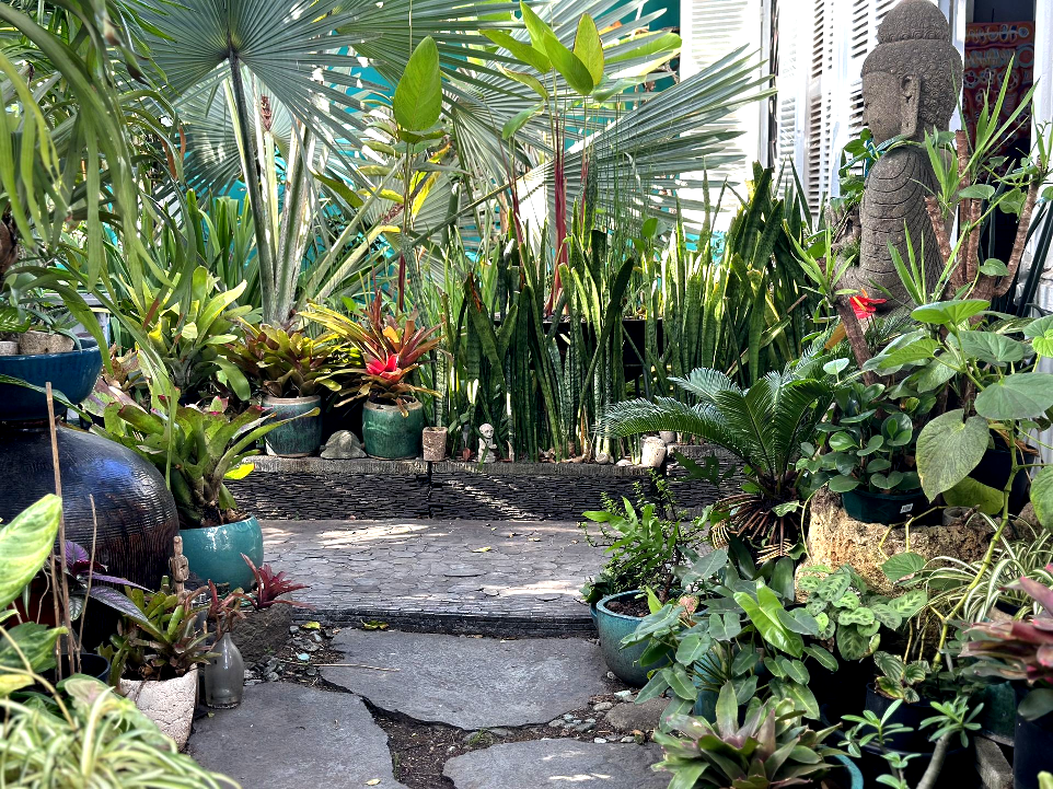 Jardin luxuriant de la Villa Cachée à Nouméa avec plantes en pots, statuette et jarre en céramique turquoise