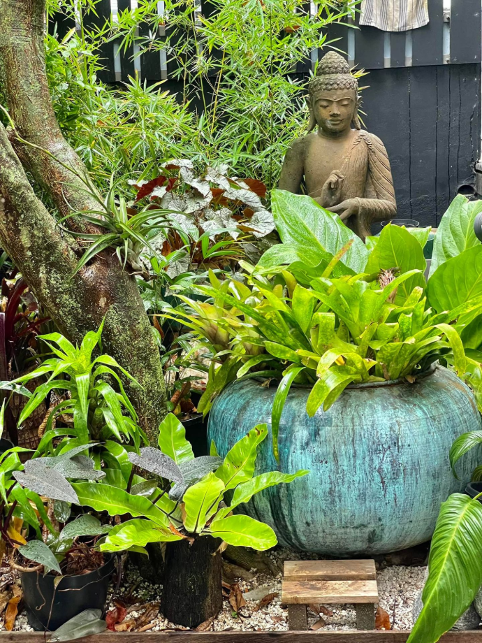Vase en céramique texturée et statue de Bouddha au milieu d'un jardin luxuriant à Nouméa