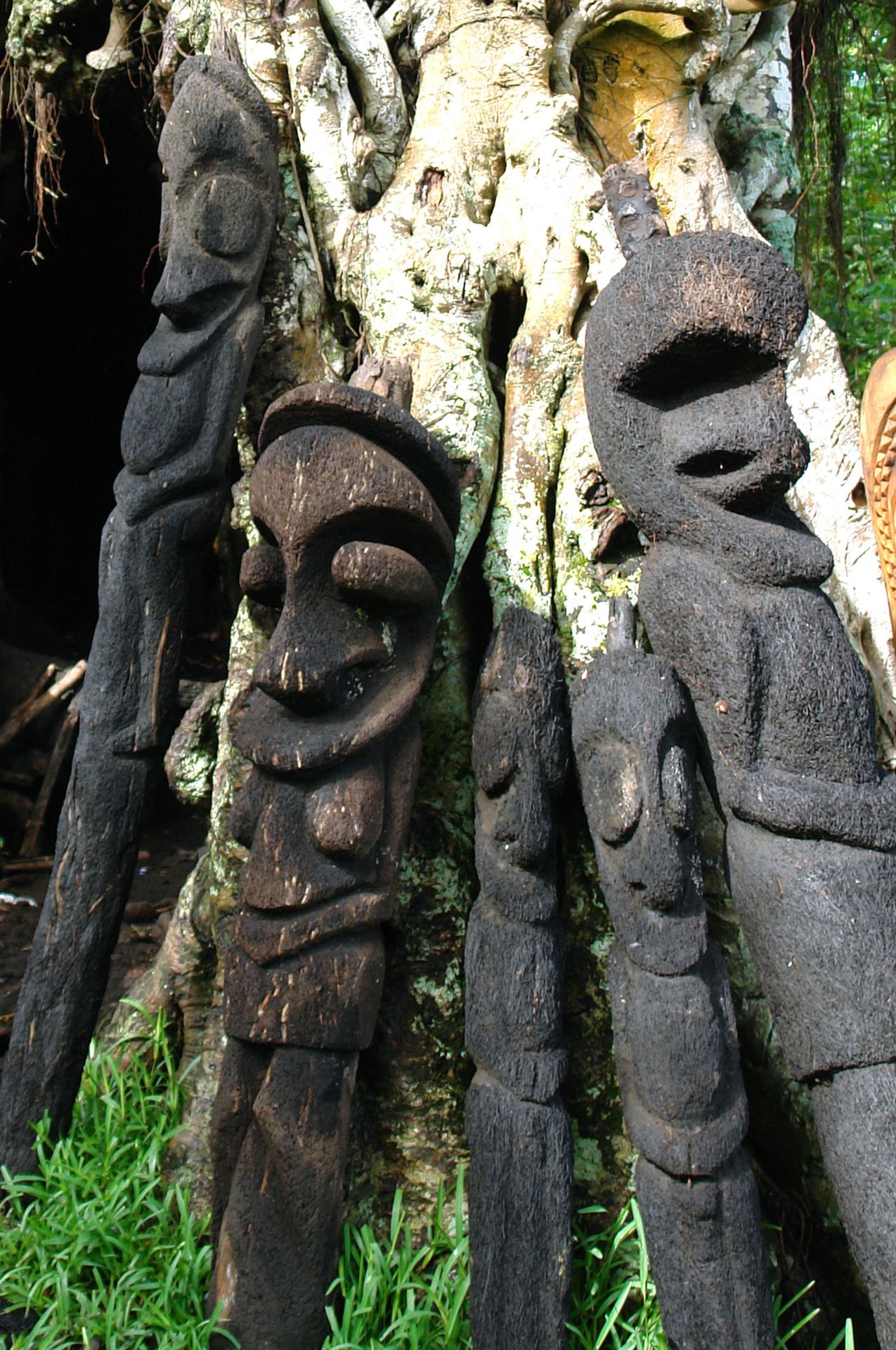 Statues sculptées dans des troncs de fougères arborescentes, île d'Ambrym, Vanuatu