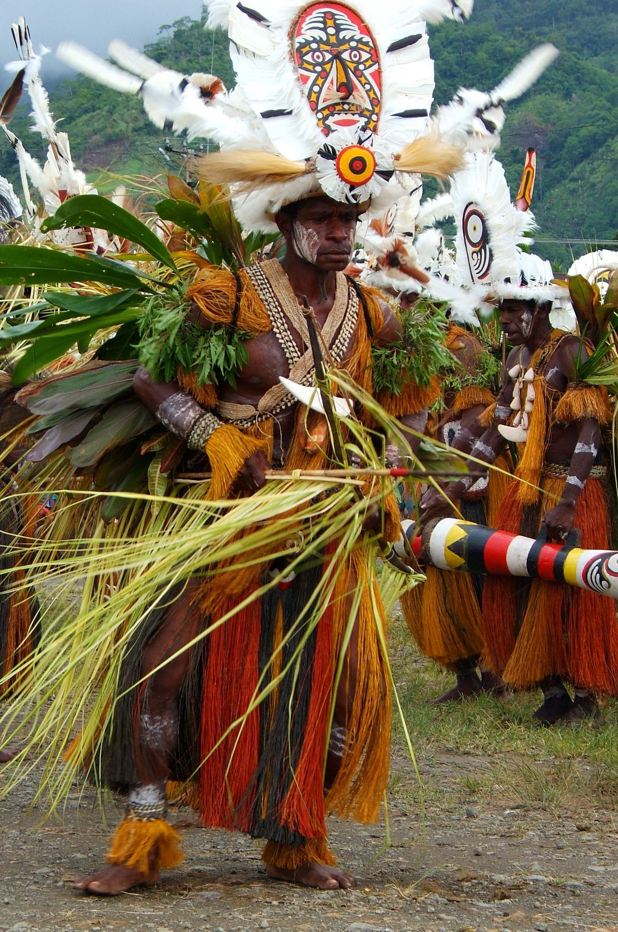 Danseur gogodala en coiffe de plumes et masque peint, Papouasie-Nouvelle-Guinée