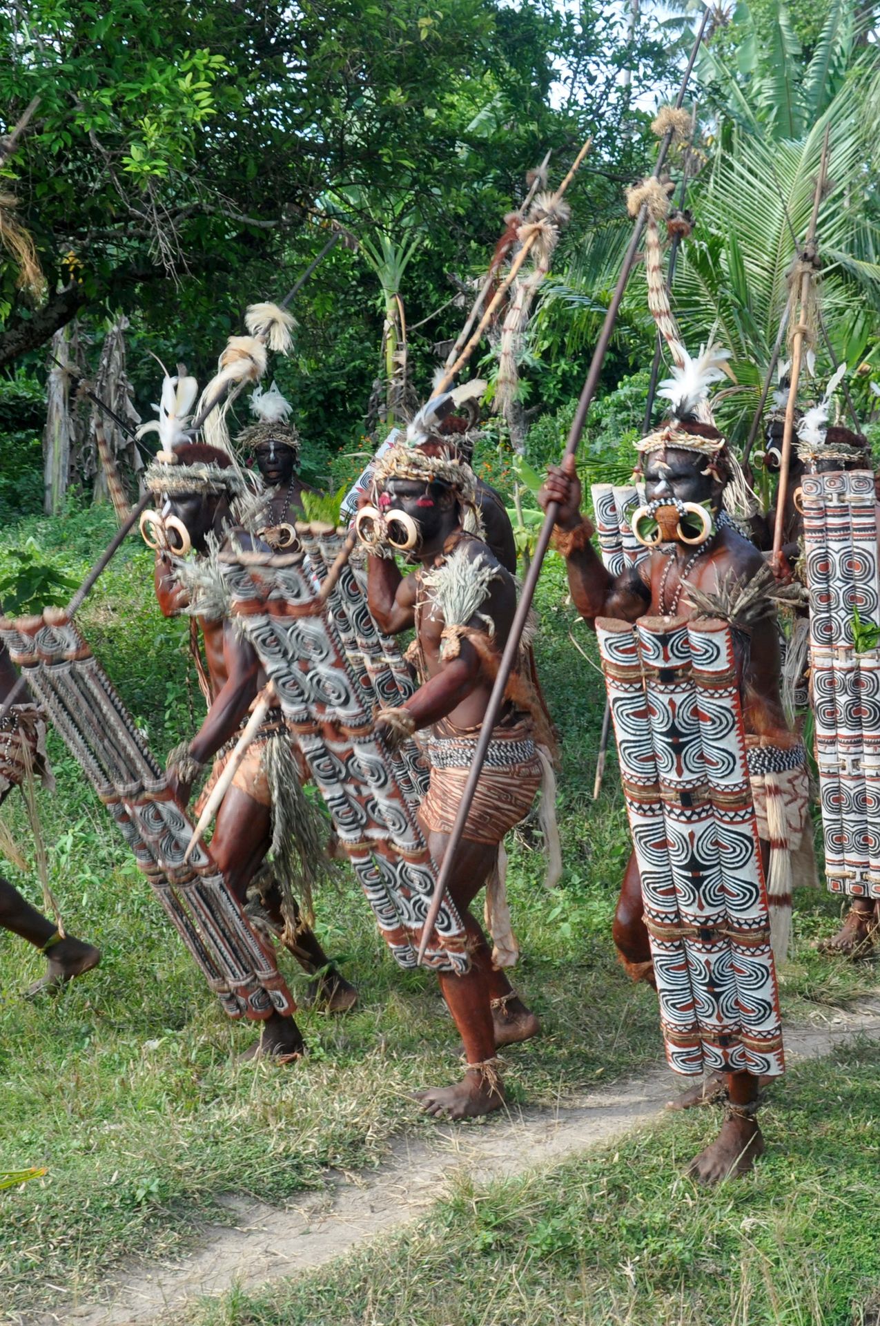 Guerriers arawe masqués portant des boucliers peints à motifs spiraux, Papouasie-Nouvelle-Guinée