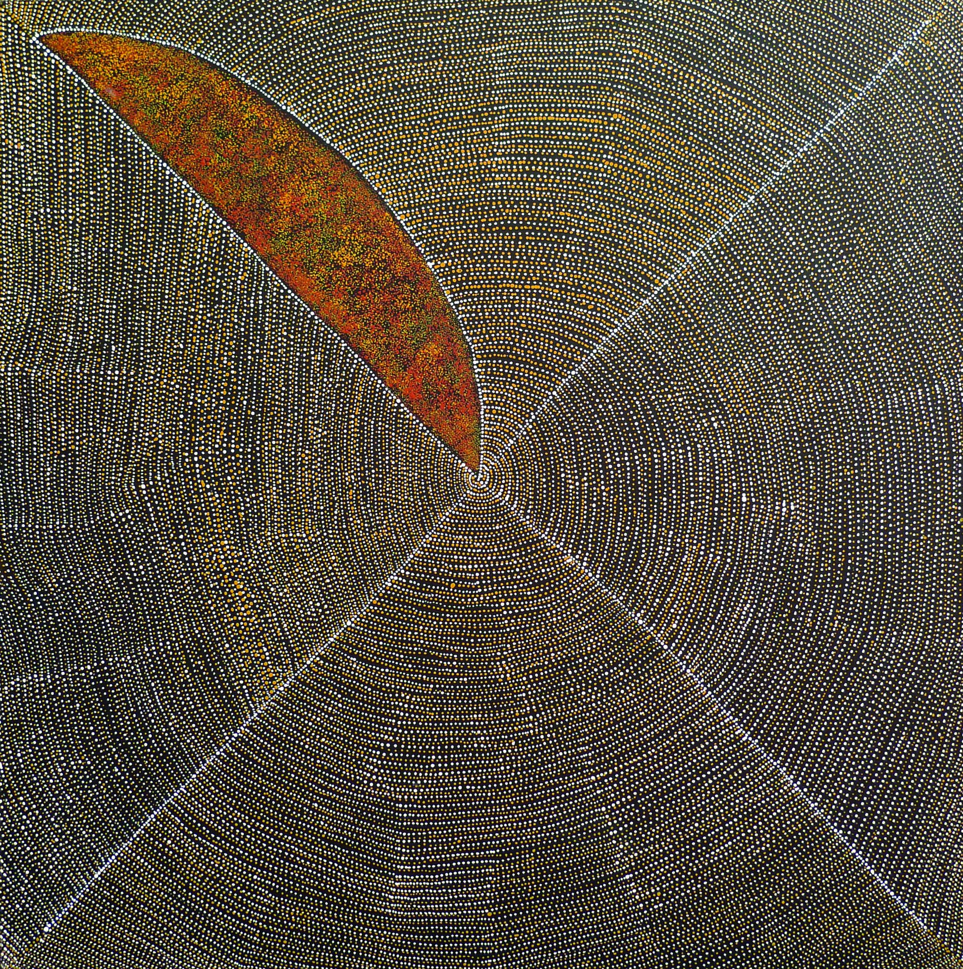 Toile d'art aborigène par l'artiste Kathleen Petyarre, motif finement pointé en toile d'araignée avec une forme orangée évoquant le Mountain Devil Lizard Dreaming